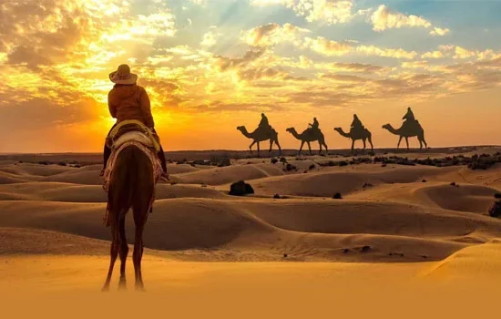 Evening Desert Safari in Abu Dhabi